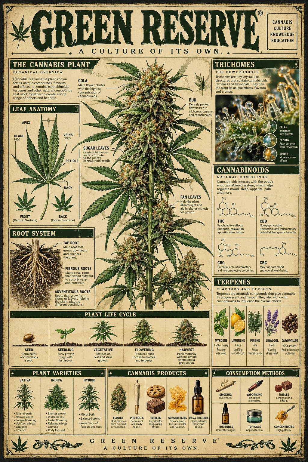 Green Reserve® – Cannabis Knowledge Poster